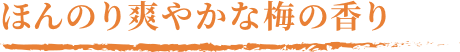 ほんのり爽やかな梅の香り