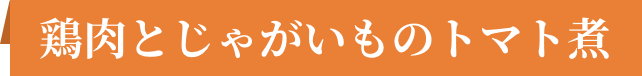 鶏肉とじゃがいものトマト煮