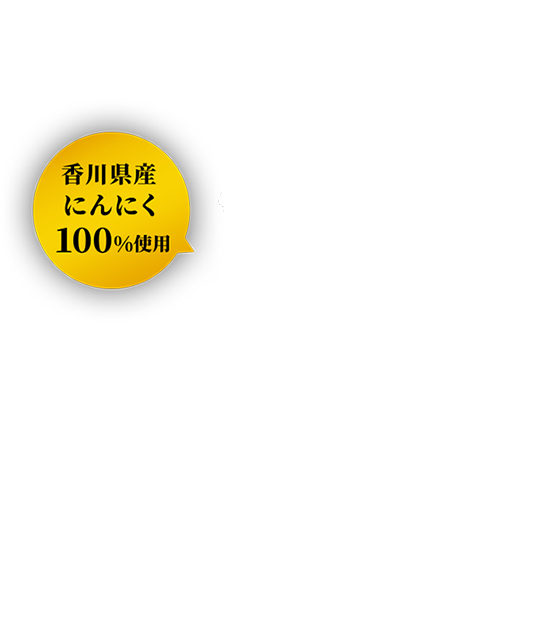 にんにくだし醤油 鎌田醤油 かまだしょうゆ 公式通販サイト