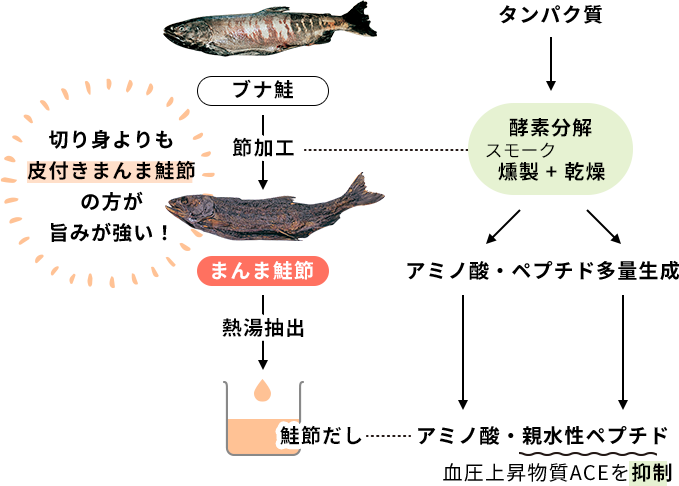 北海道鮭節だし醤油 鎌田醤油 かまだしょうゆ 公式通販サイト