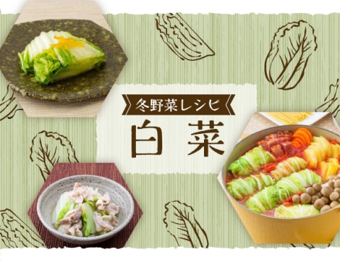 冬野菜レシピ 白菜特集