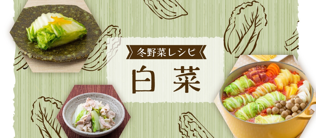 冬野菜レシピ 白菜特集